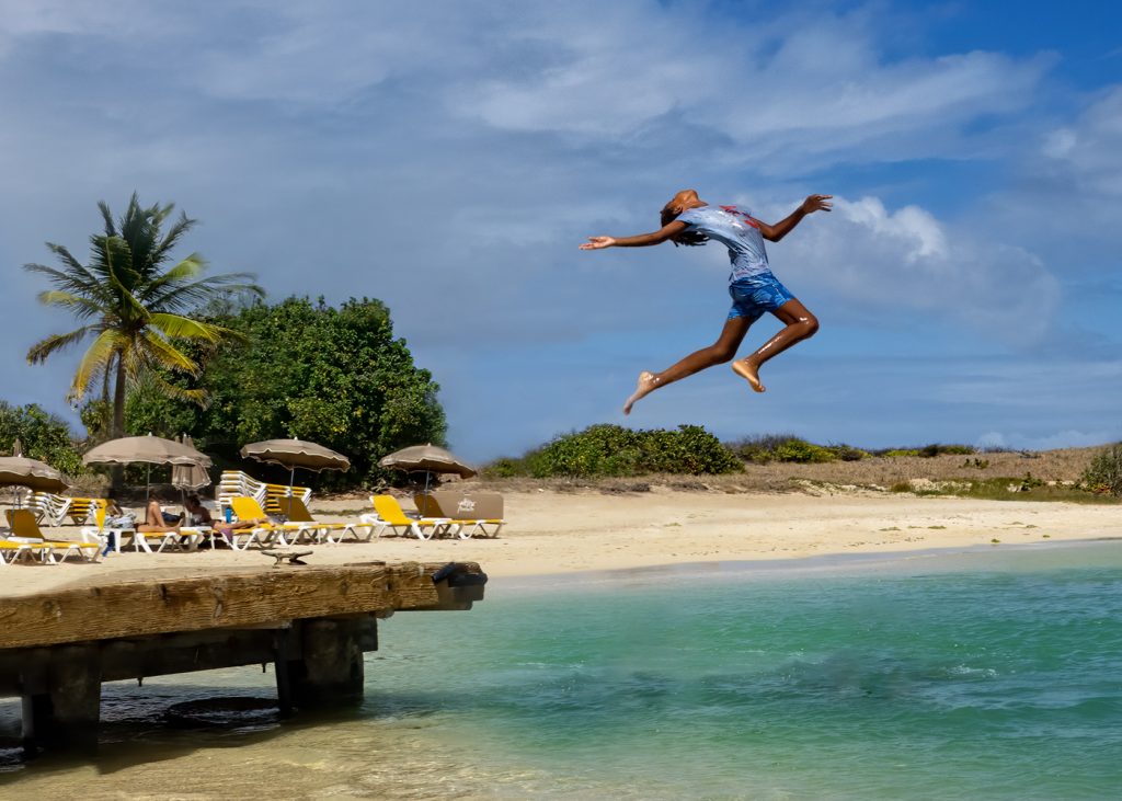 Flight - Andi Shapiro